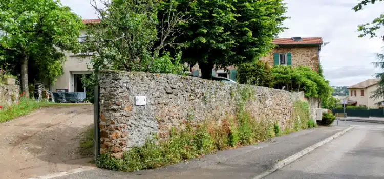 Photo numéro 19 de la galerie de Federica Sartori : Naturopathe à Roiffieux. Prendre RDV