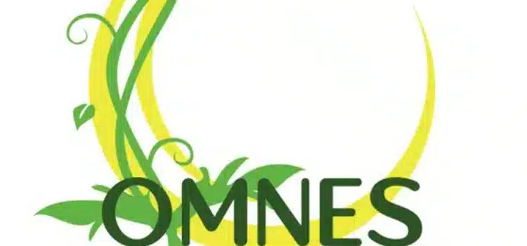 Photo numéro 4 de la galerie de Bruno DANTOU : Naturopathe à Lyon. Prendre RDV
