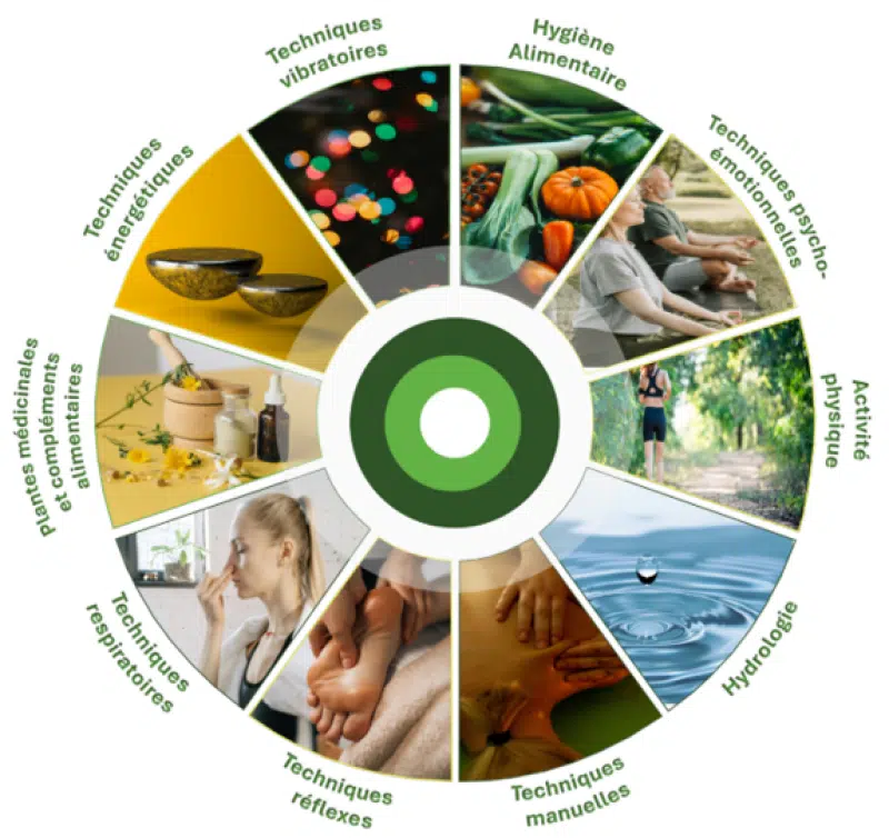 Photo numéro 2 de la galerie de Celine Aubert : Naturopathe à Aillon-le-Vieux. Prendre RDV